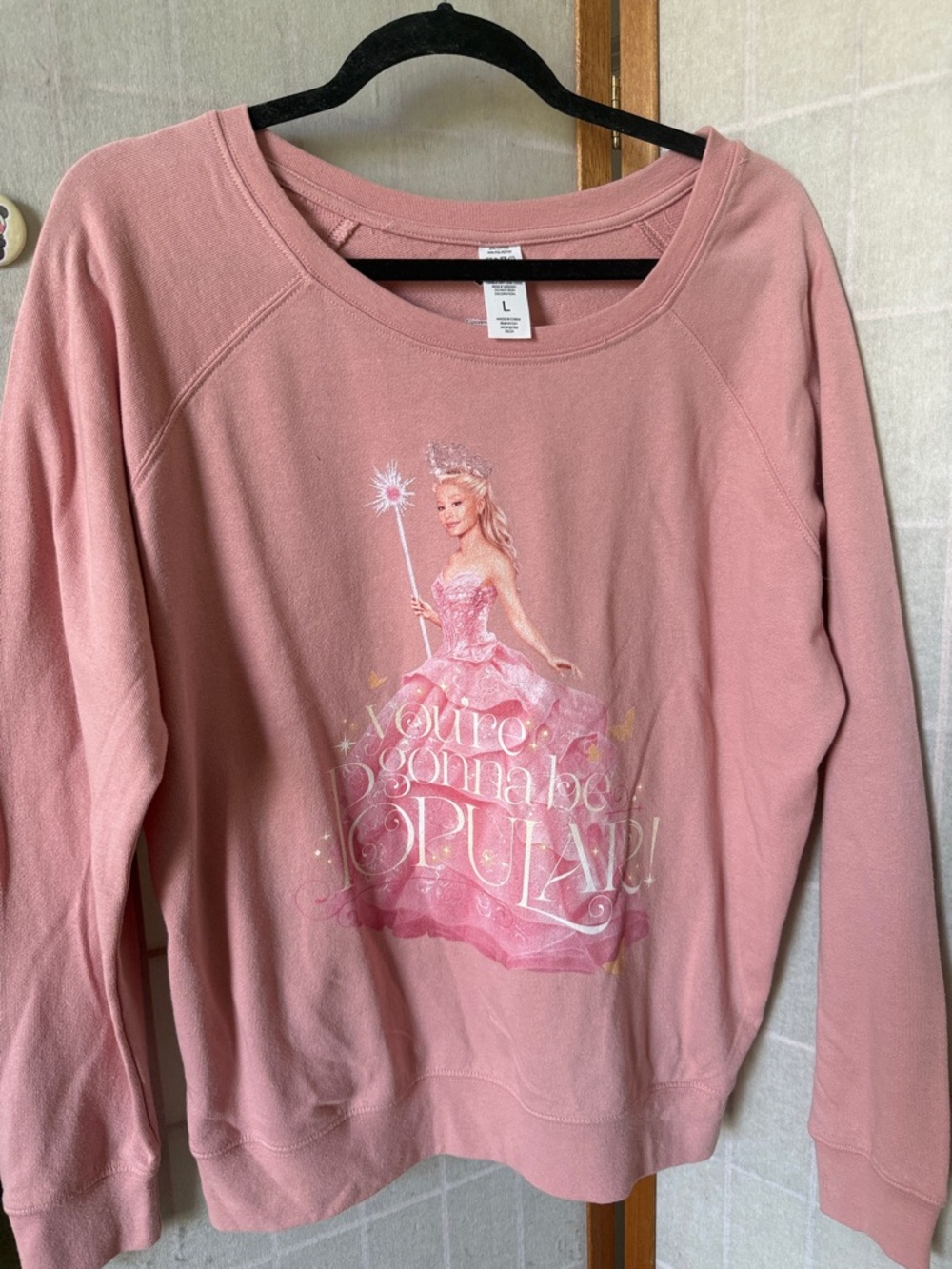 Wicked Pink Sweatshirt “you’re gonne be popular” Sz L